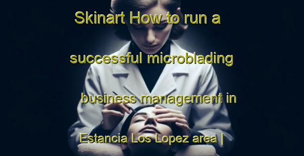 Skinart How to run a successful microblading business management in Estancia Los Lopez area | MicrobladingTraining | MicrobladingClasses | SkinartTraining-Mexico